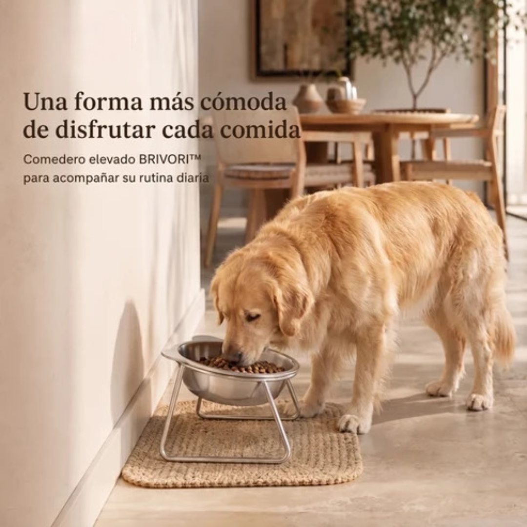 Namaste™ - Comedero Elevado Ergonómico