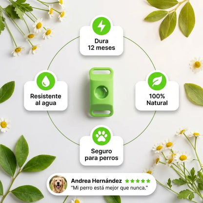 Collar 12 Meses de Protección Antipulgas y Garrapatas 100% Natural para Perros