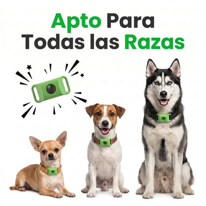 Collar 12 Meses de Protección Antipulgas y Garrapatas 100% Natural para Perros