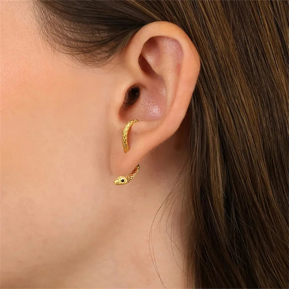 Aros Serpiente Curve