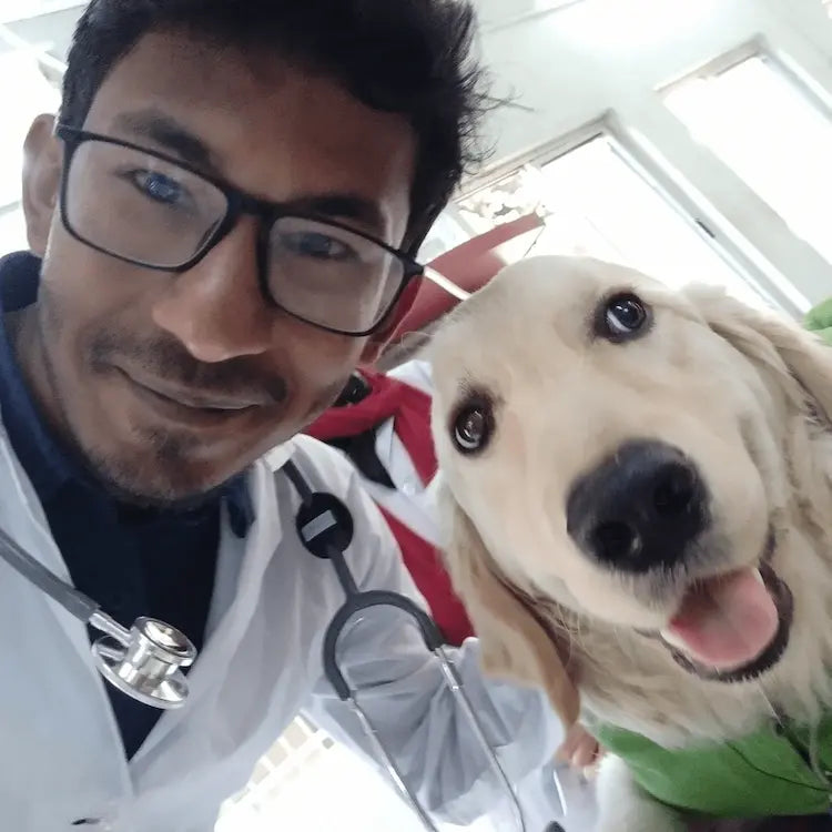 Dr. Pedro.S, veterinario