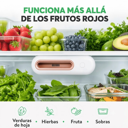 Namaste™ Conservá tu comida 4 veces más fresca y hacé rendir la guita en el súper