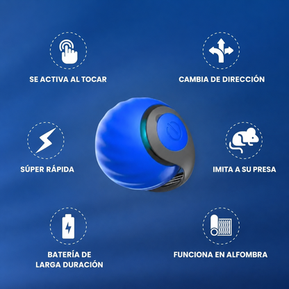 COLA VELOZ (Speedy Tail) para gatos 2.0