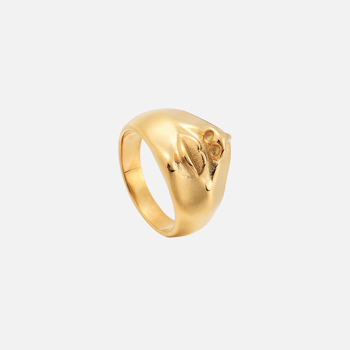 Anillo Vita