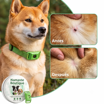 Collar 12 Meses de Protección Antipulgas y Garrapatas 100% Natural para Perros