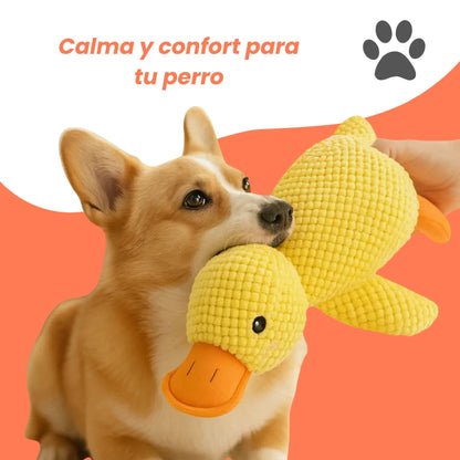 Patozen - Peluche para perros