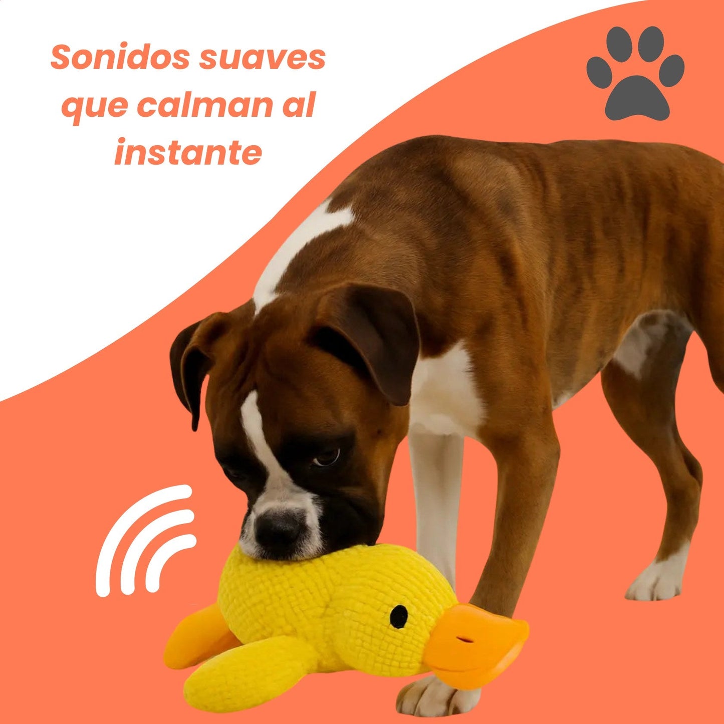 Patozen - Peluche para perros