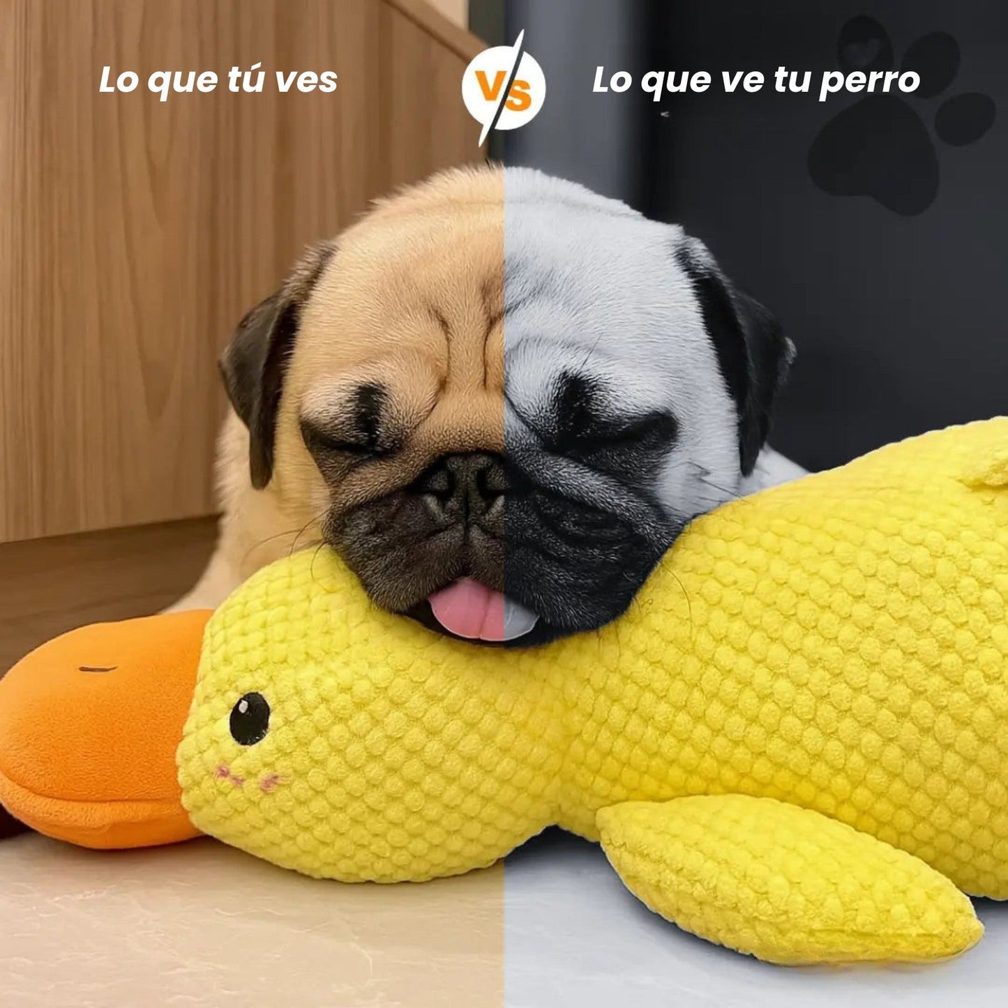 Patozen - Peluche para perros