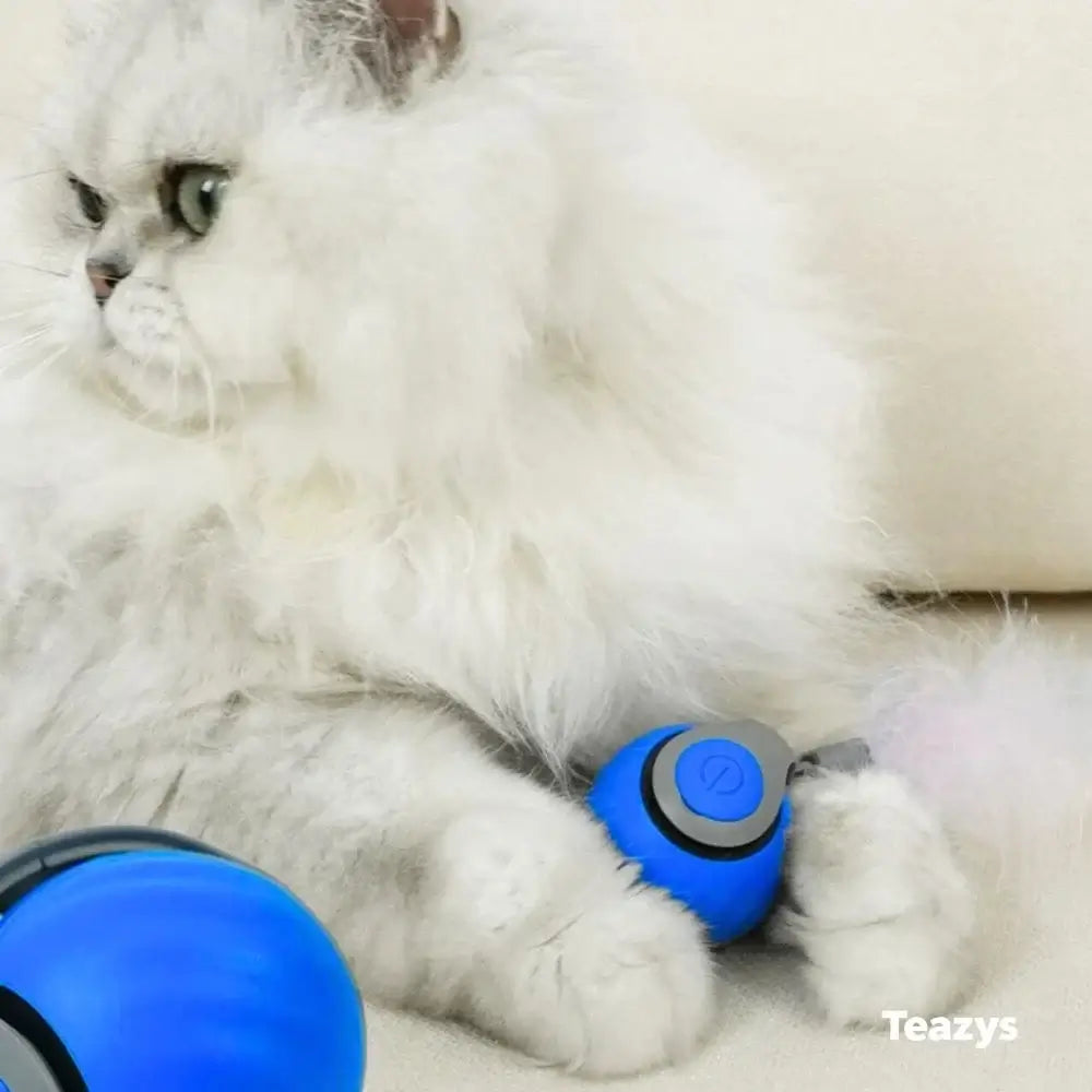 COLA VELOZ (Speedy Tail) para gatos 2.0
