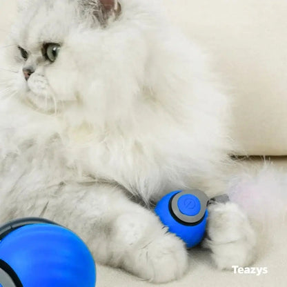 COLA VELOZ (Speedy Tail) para gatos 2.0