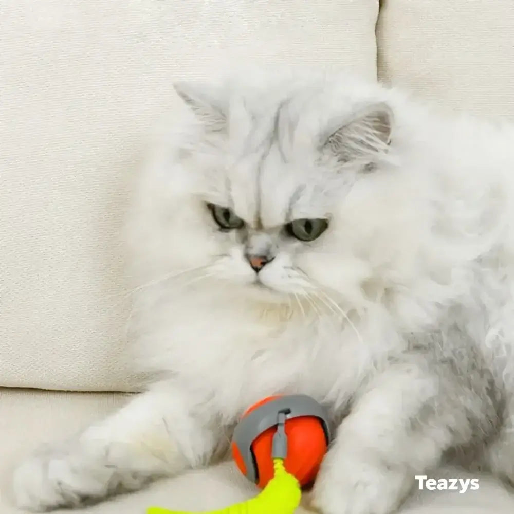 COLA VELOZ (Speedy Tail) para gatos 2.0
