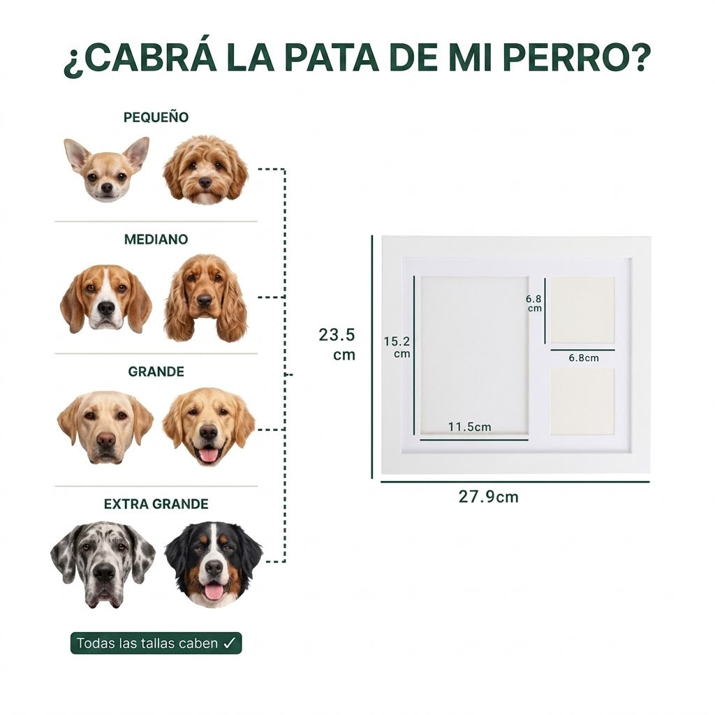 El paquete de huellas de patas de arcilla