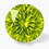 Collar Nudo de Bruja Protector